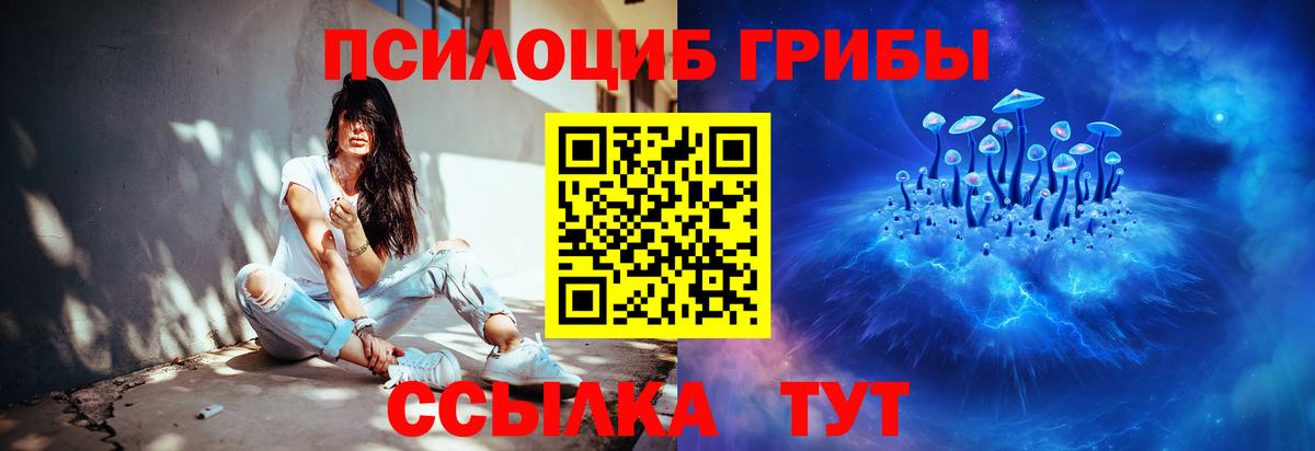 Галлюциногенные грибы прущие грибы Курган