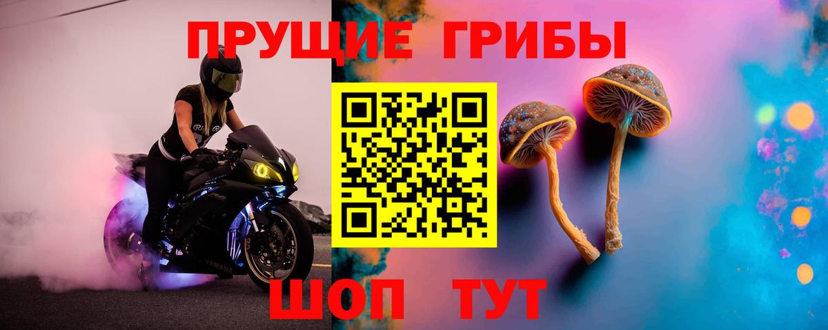 Псилоцибиновые грибы Psilocybine cubensis  купить   Курган  Вход с VPN 